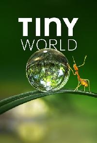 Tiny World